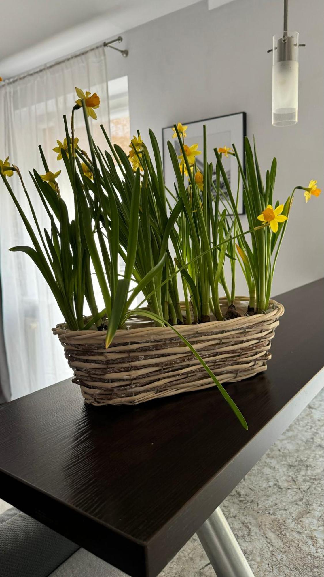 Apartament Rodzinny Kołobrzeg Eksteriør bilde